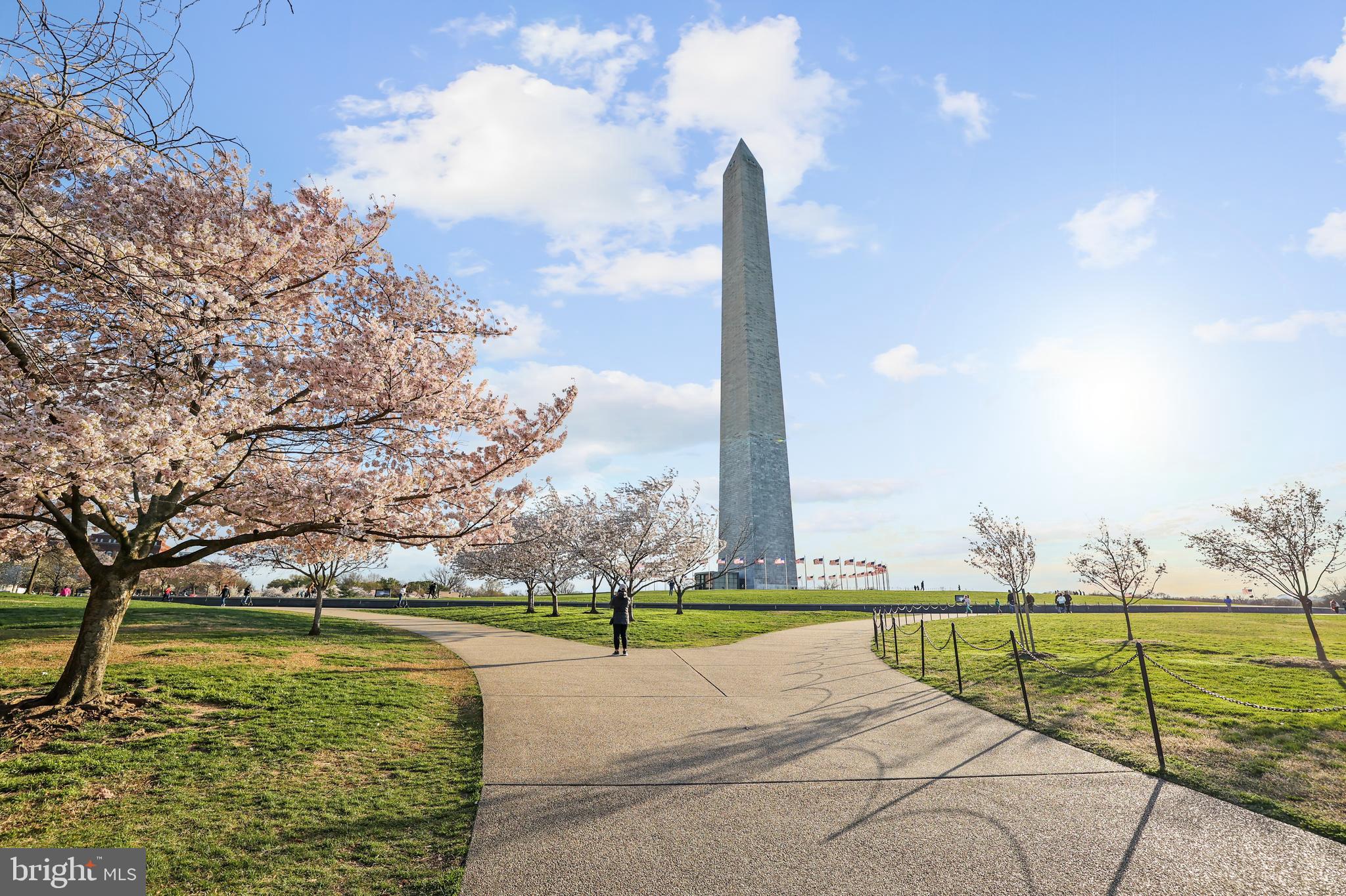 CLARENDON - Residential