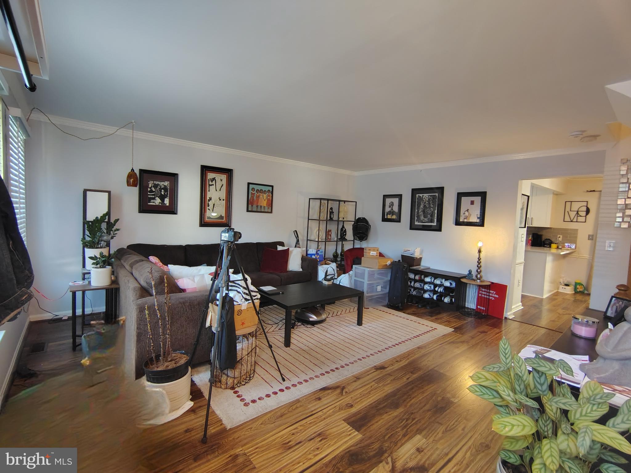 11217 BENT CREEK TERRACE