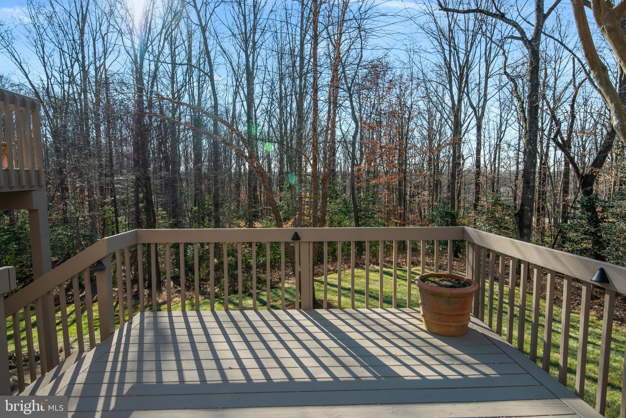 BELVOIR FARMS - Residential