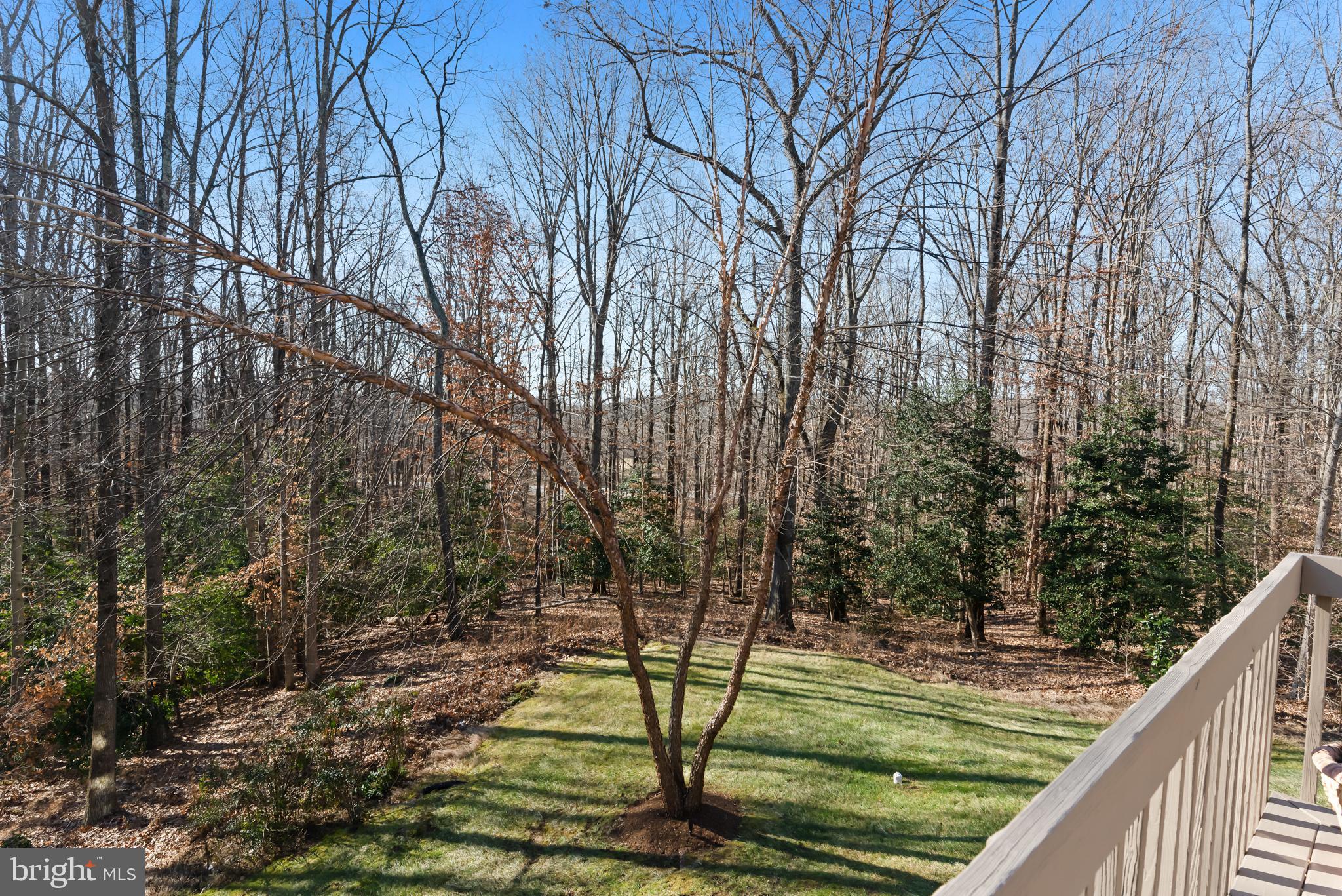 BELVOIR FARMS - Residential