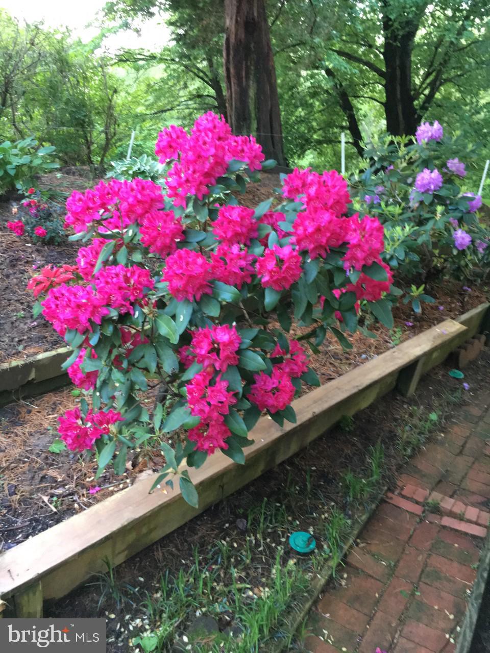 ROCKSHIRE - Residential