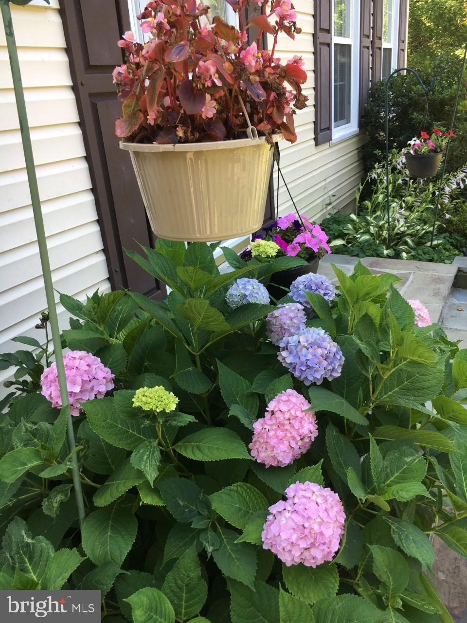 ROCKSHIRE - Residential