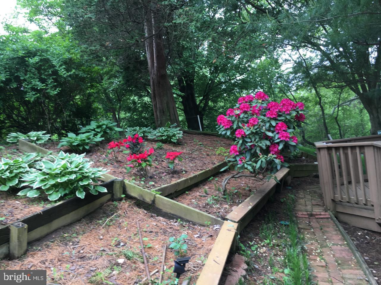 ROCKSHIRE - Residential