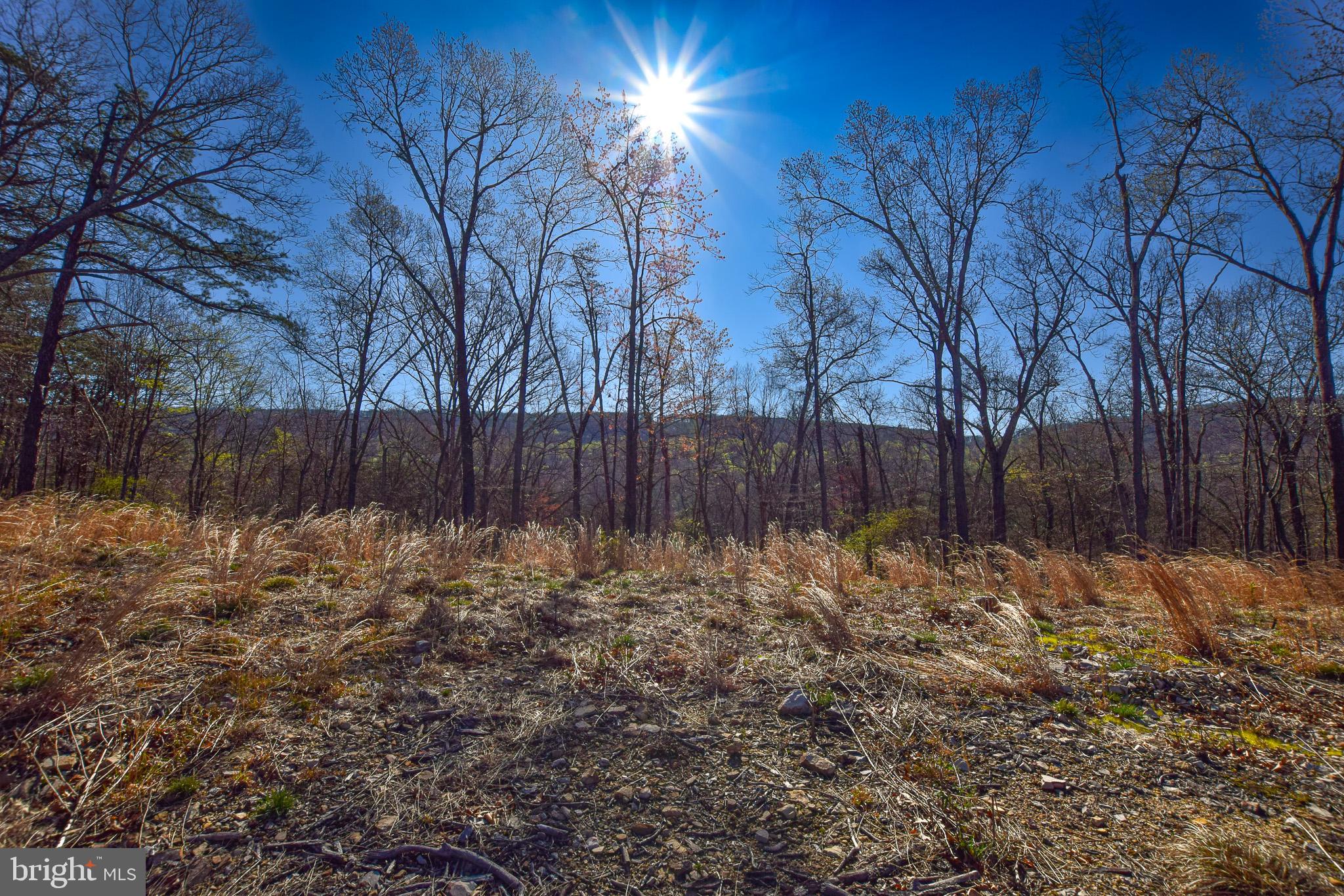 Don't miss out on your chance to own 12 scenic acres in Foxwood Knolls. Whether you're looking to build your forever home or keep the land as is, there are is no shortage of potential for this property. The private backdrop makes this an ideal location for hunting as well. This property is within minutes to I81 making access to MD/VA quick which is perfect for commuters who are searching for a picturesque property that is away from the hustle and bustle of the city. Property also has an approved perc test. This land offers the perfect blend of convenient access to town and country living.