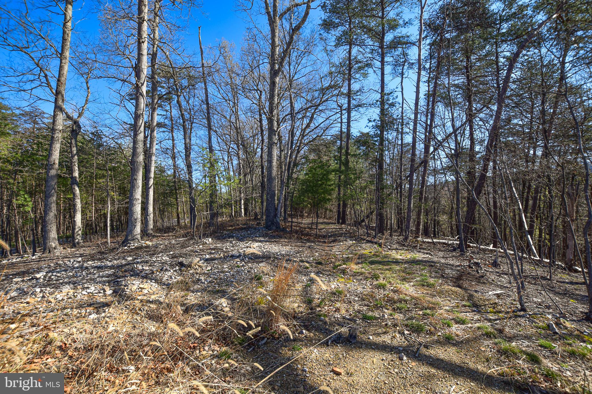 Lot 25 VIXEN LANE