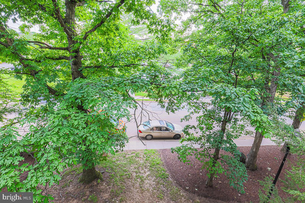CHESWOLDE - Residential Lease