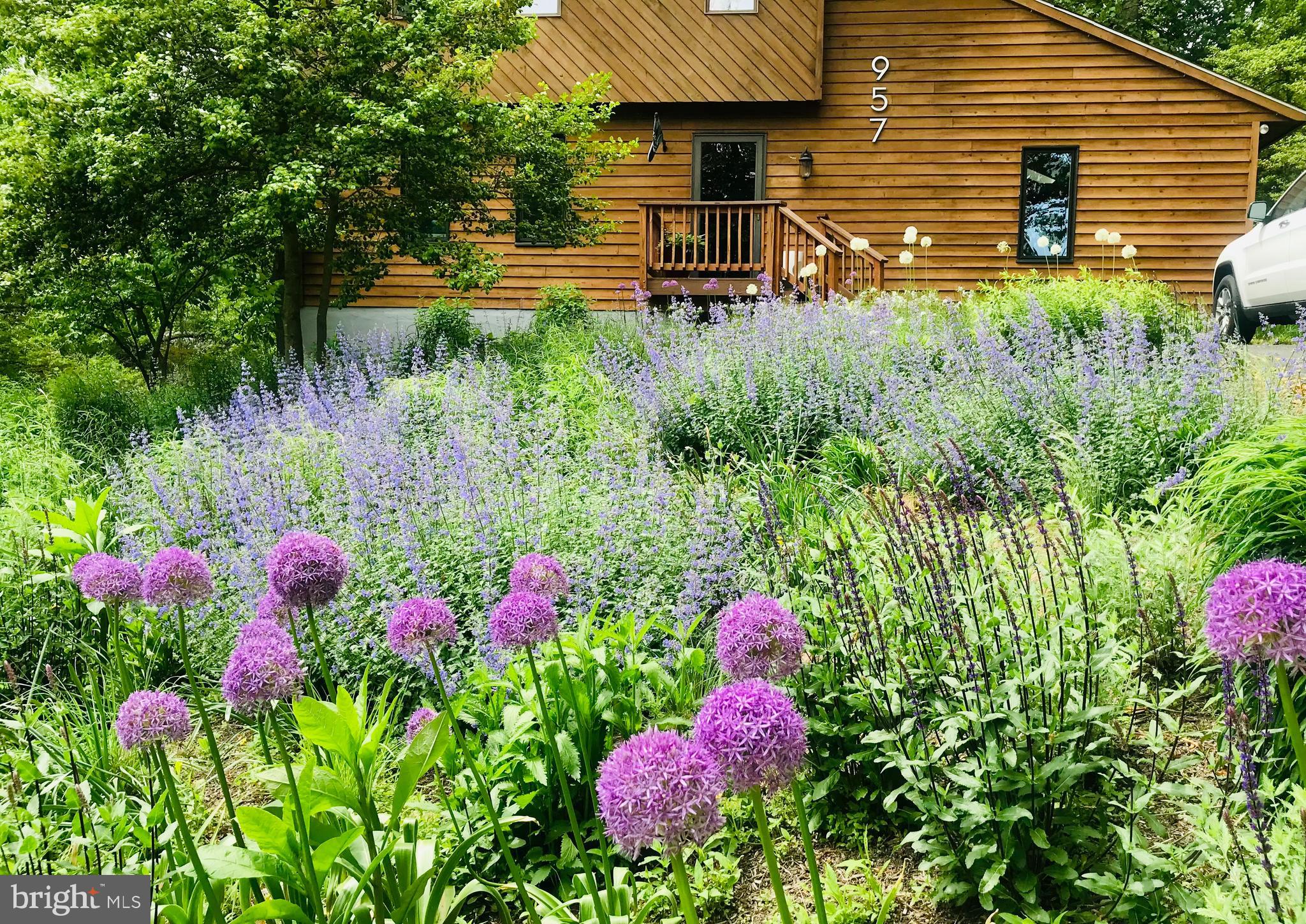 CAPE ST CLAIRE - Residential