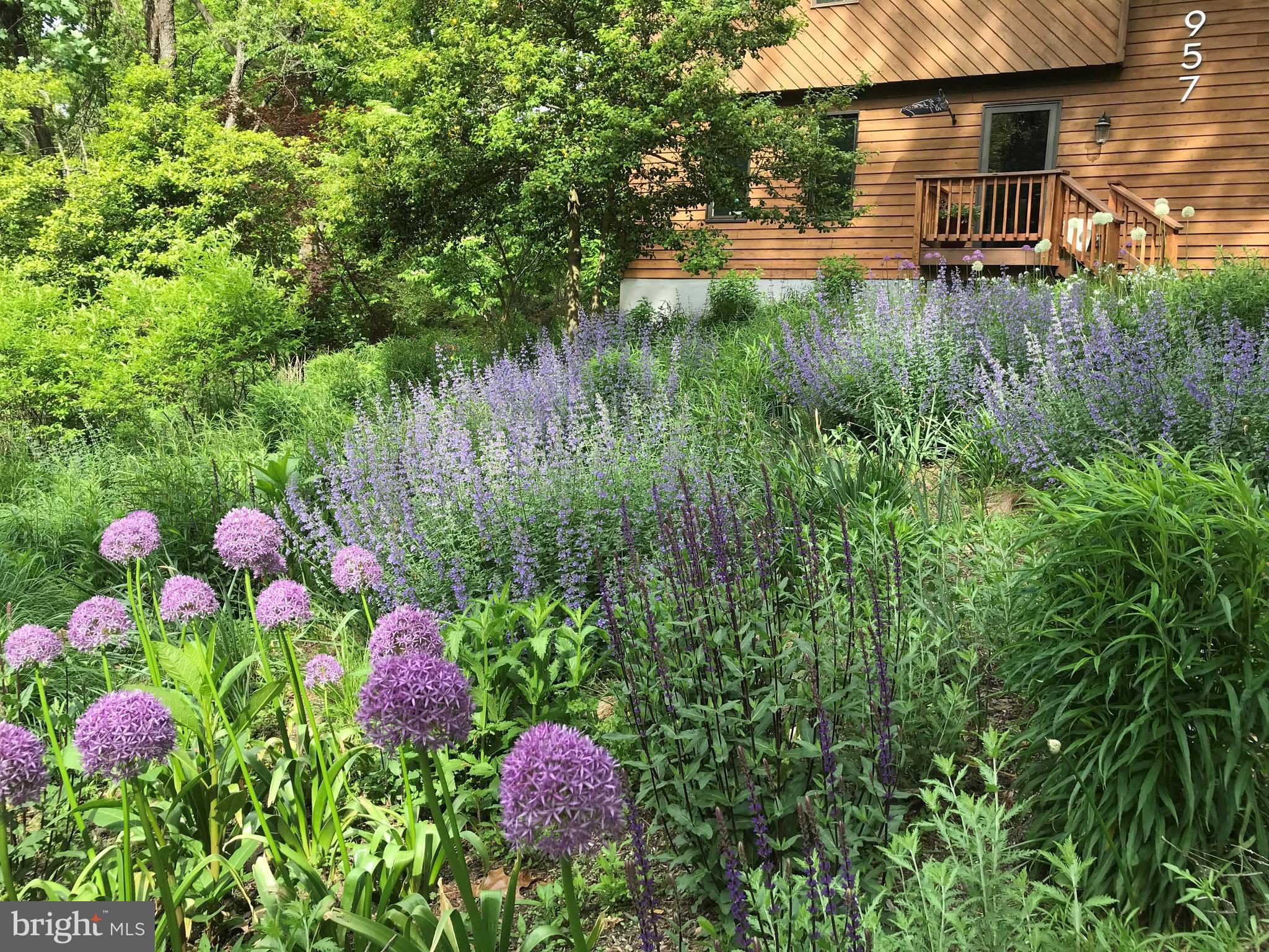 CAPE ST CLAIRE - Residential