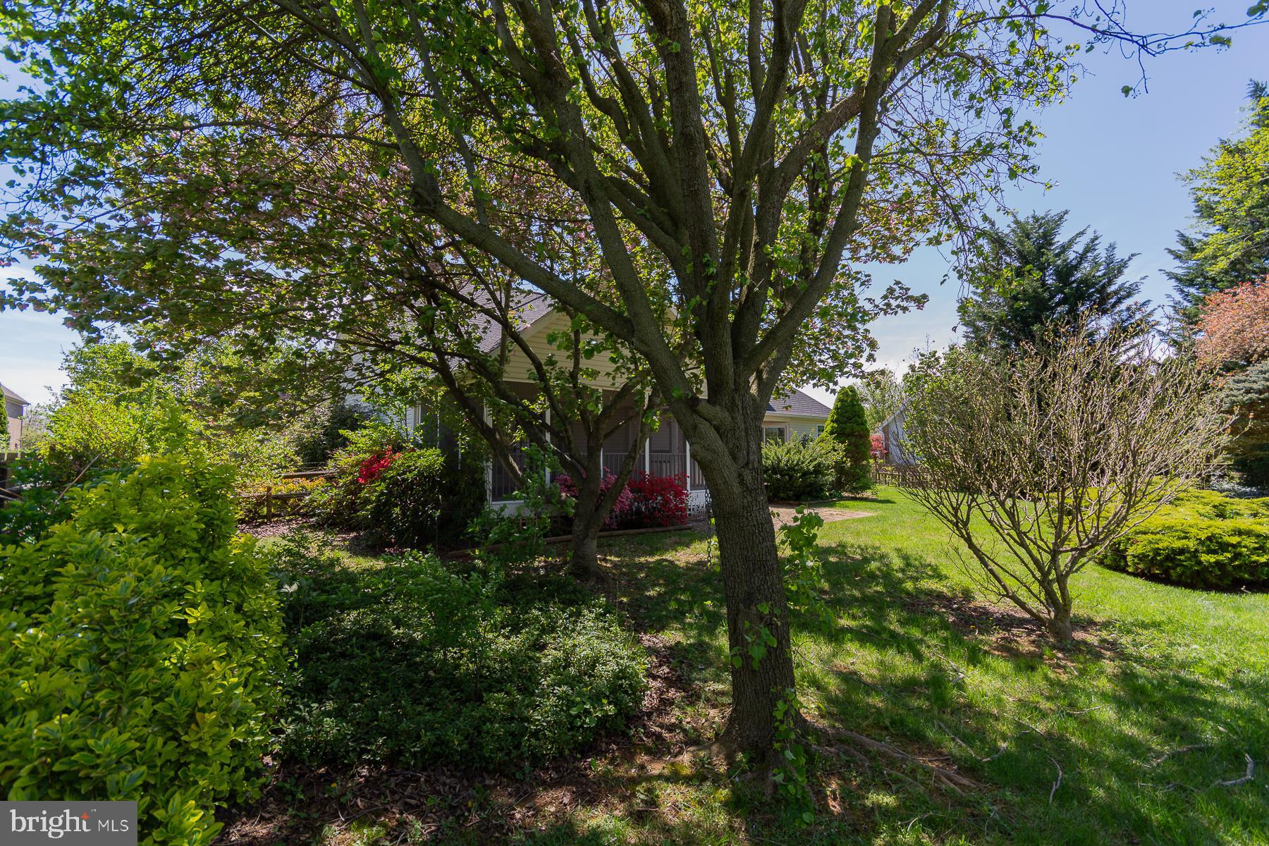 LOCUST HILL - Residential