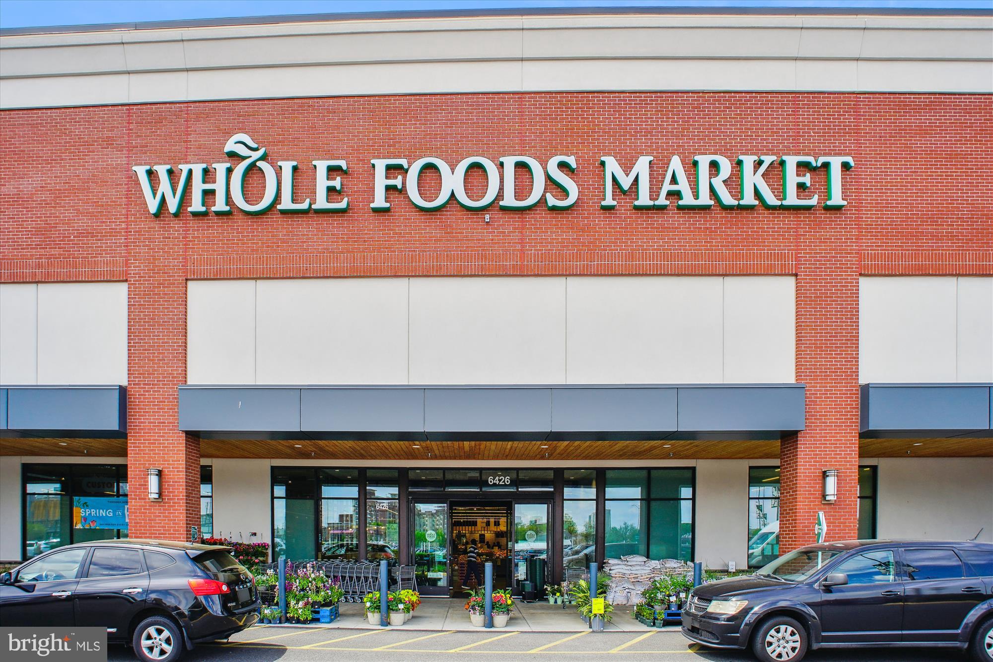 SPRINGVALE - Residential Lease