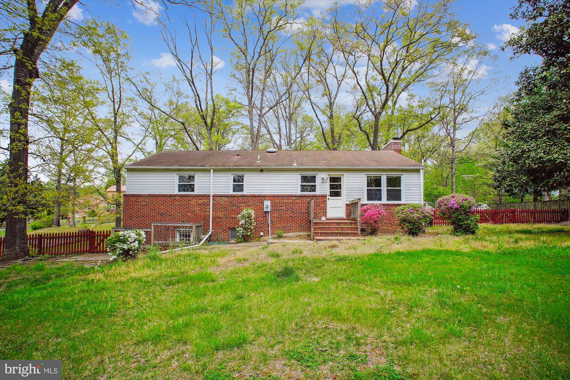 SPRINGVALE - Residential Lease