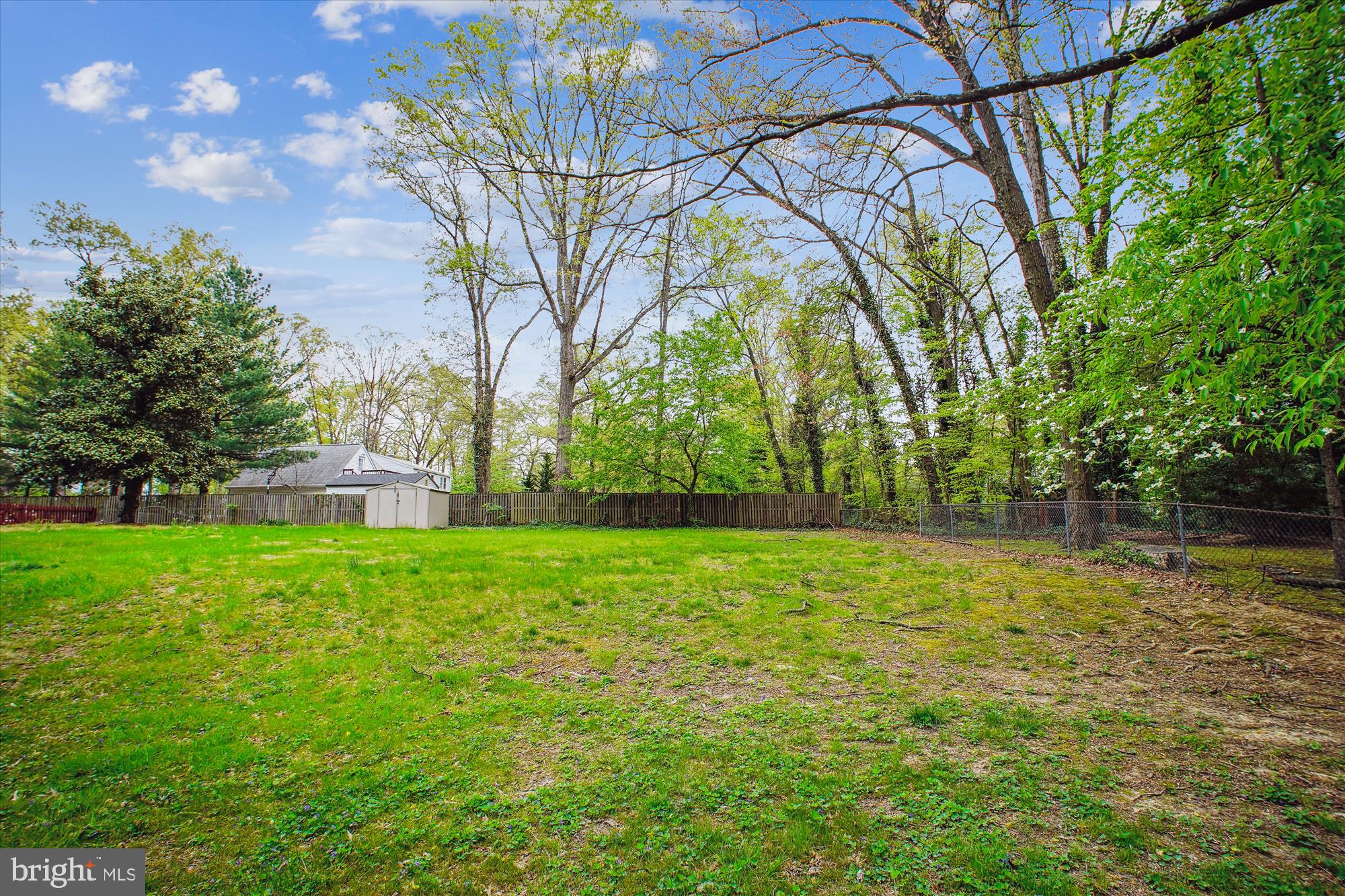 SPRINGVALE - Residential Lease