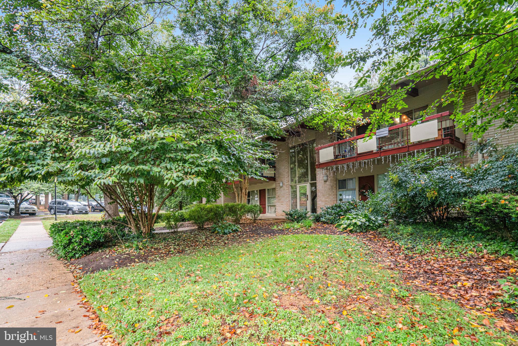 4309 AMERICANA DRIVE 10