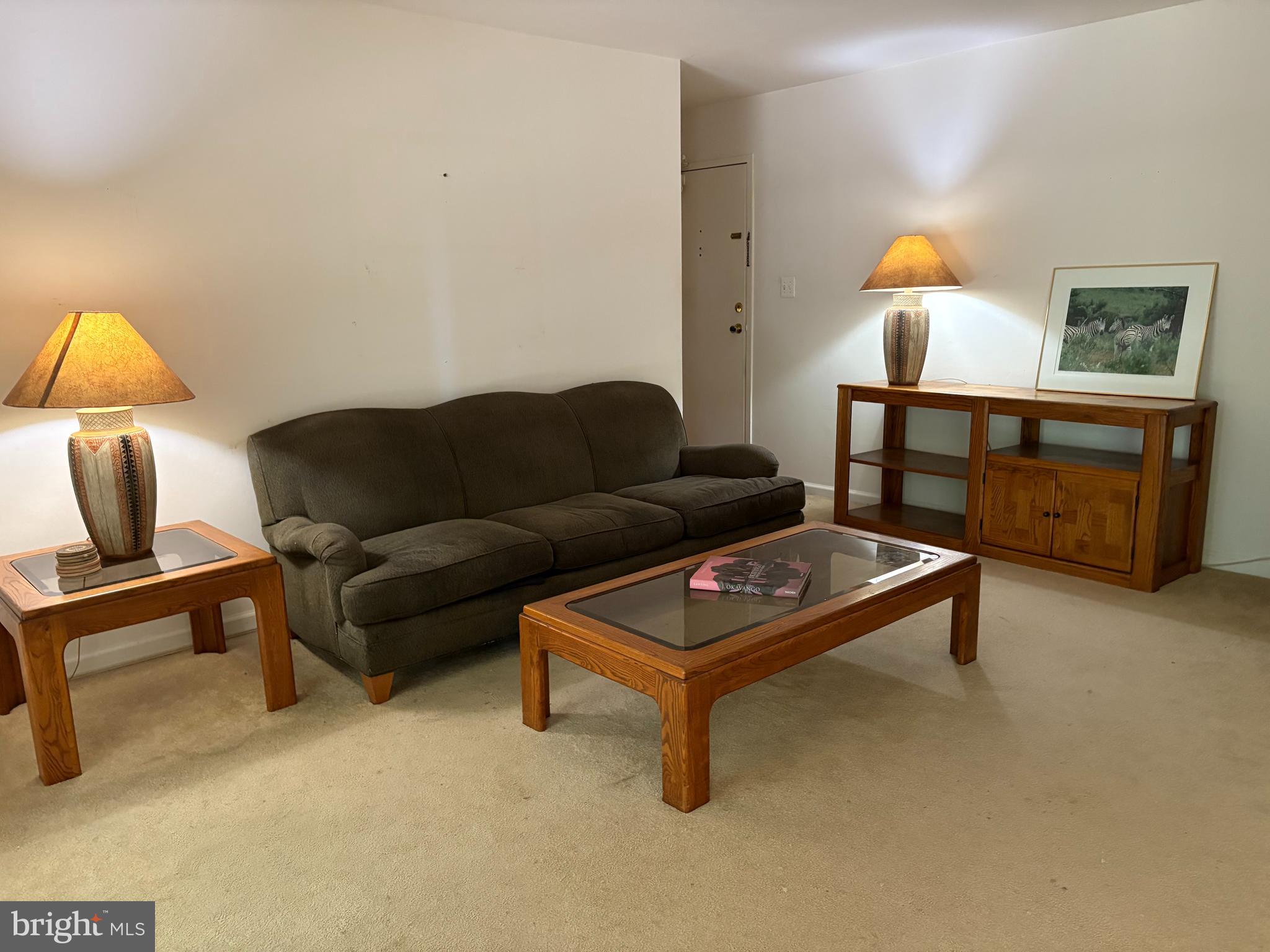 4309 AMERICANA DRIVE 10