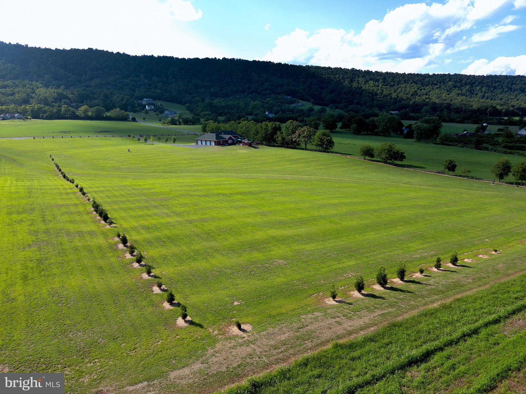SPRINGDALE FARM - Residential