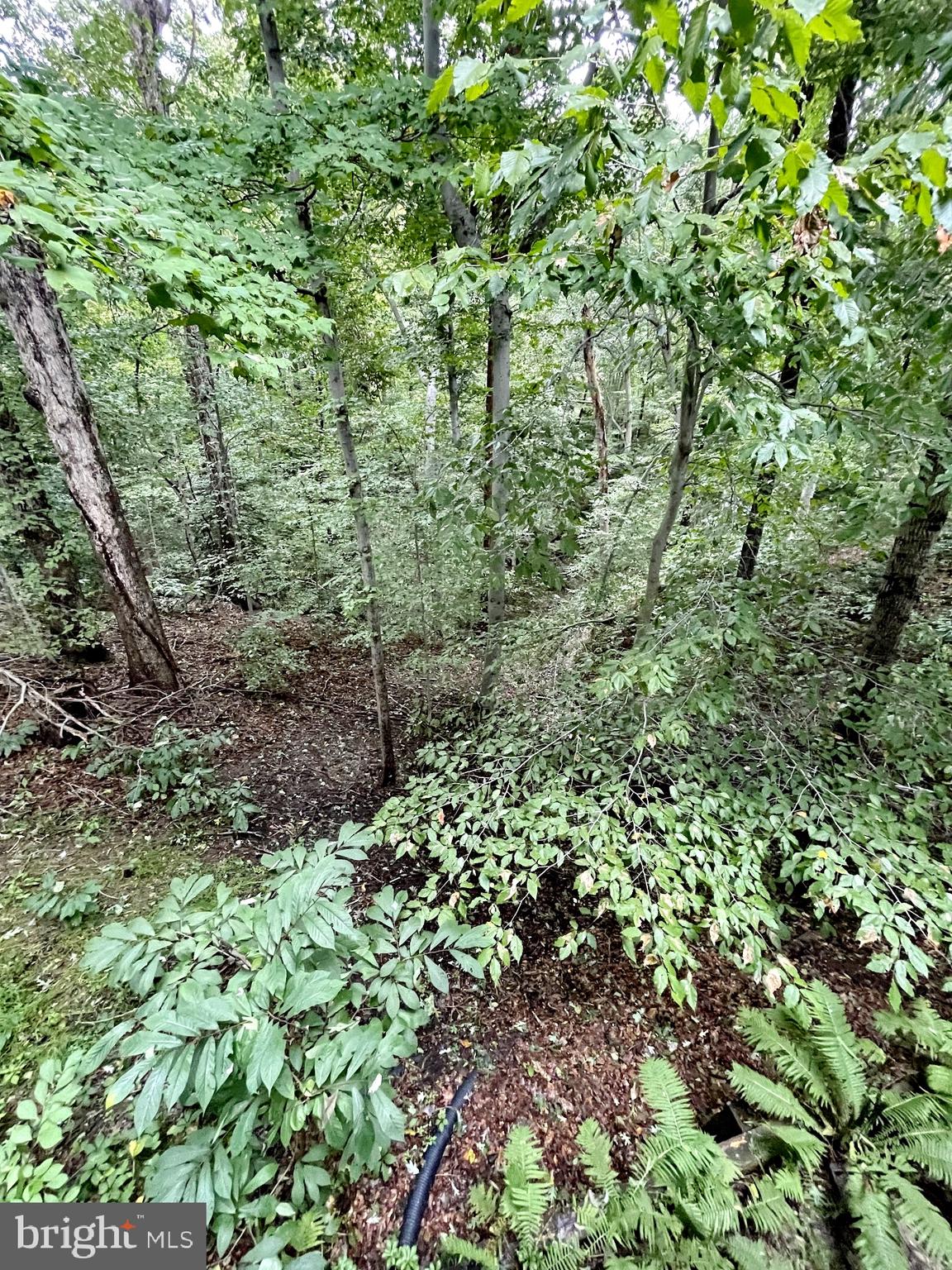 APPLE GREENE - Residential