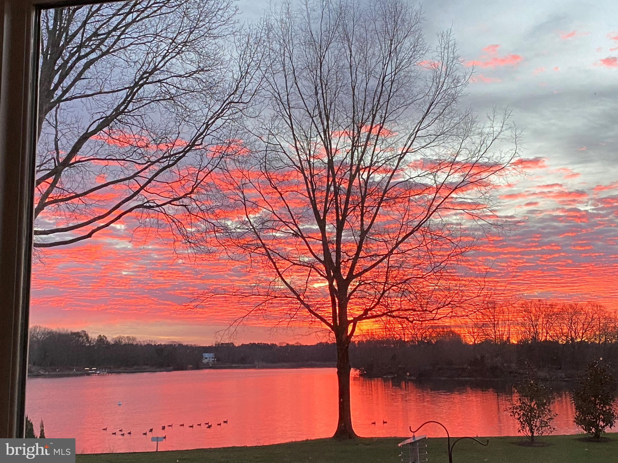 PRESQUILE - Residential