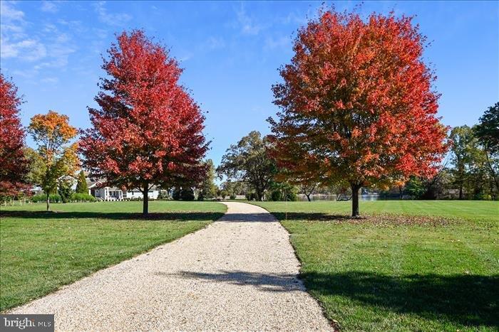 PRESQUILE - Residential