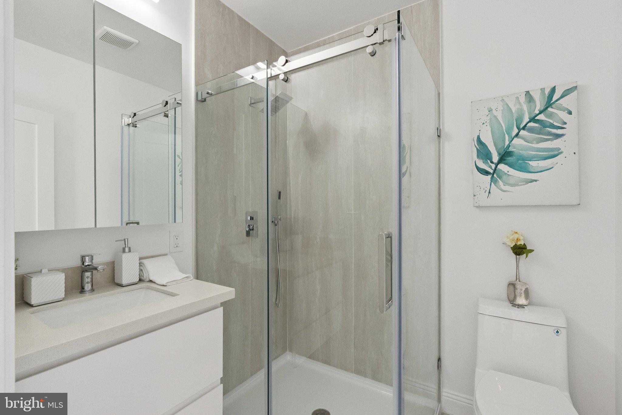 CHEVY CHASE VILLAGE - Residential