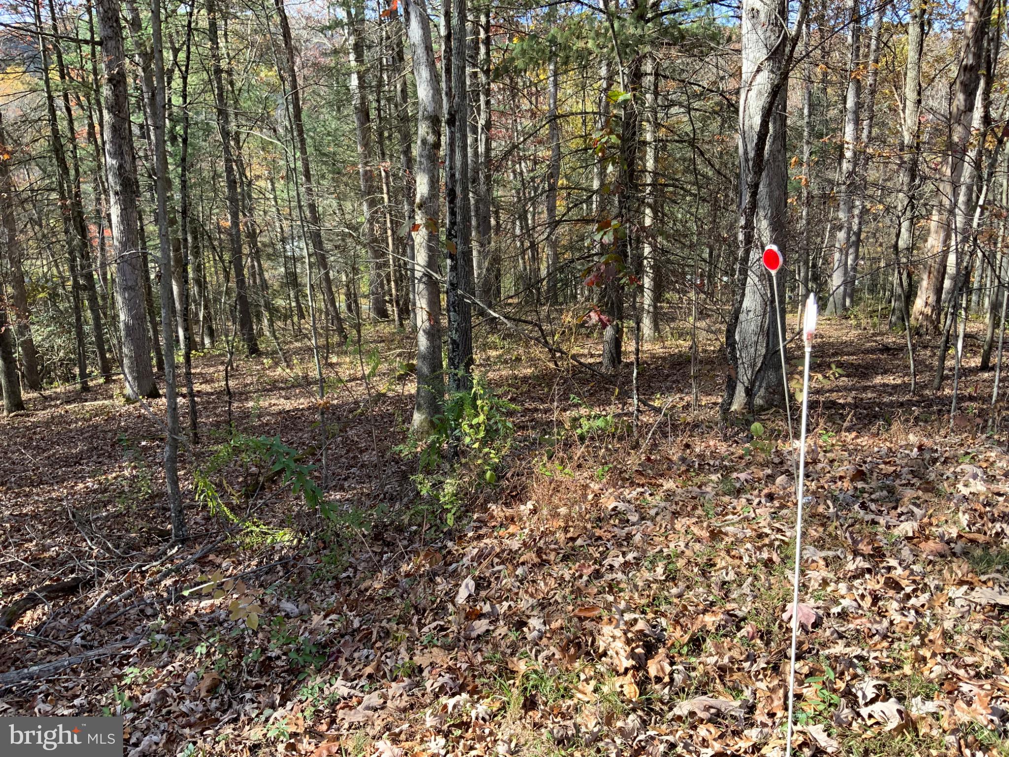 CLIFFSIDE ACRES - Residential