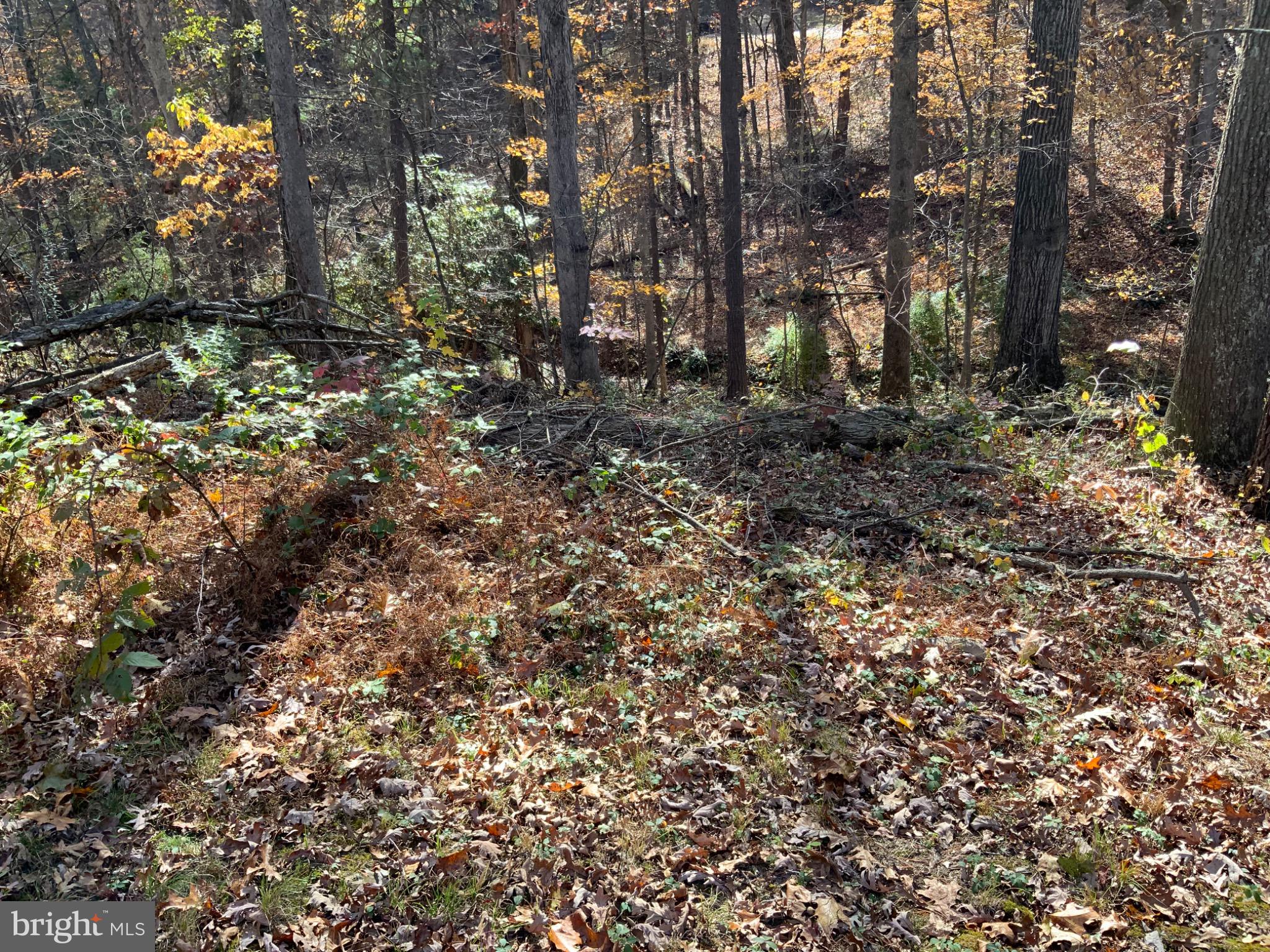 CLIFFSIDE ACRES - Residential