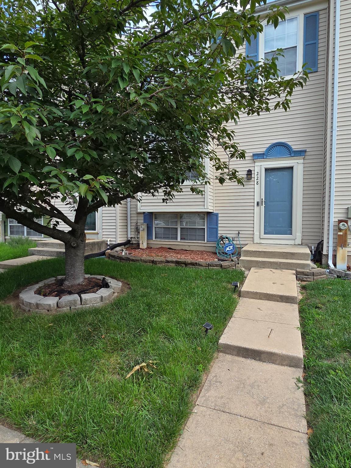 228 OAK LEAF