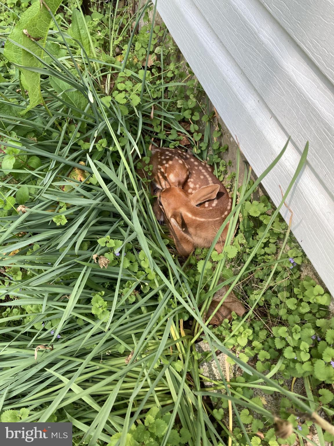 1485 COMPTON HOLLOW ROAD