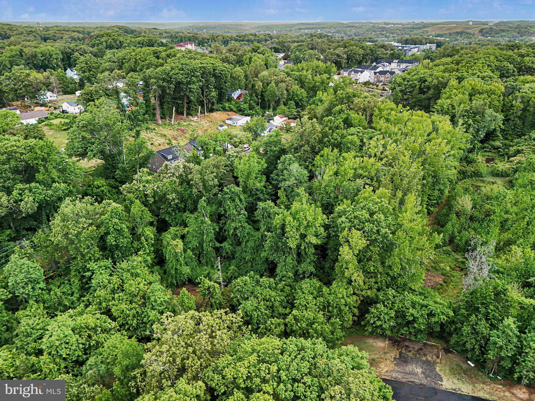 18559 OLD TRIANGLE ROAD