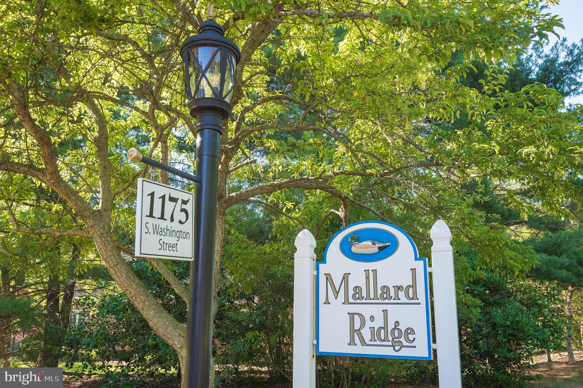 MALLARD RIDGE - Residential Lease