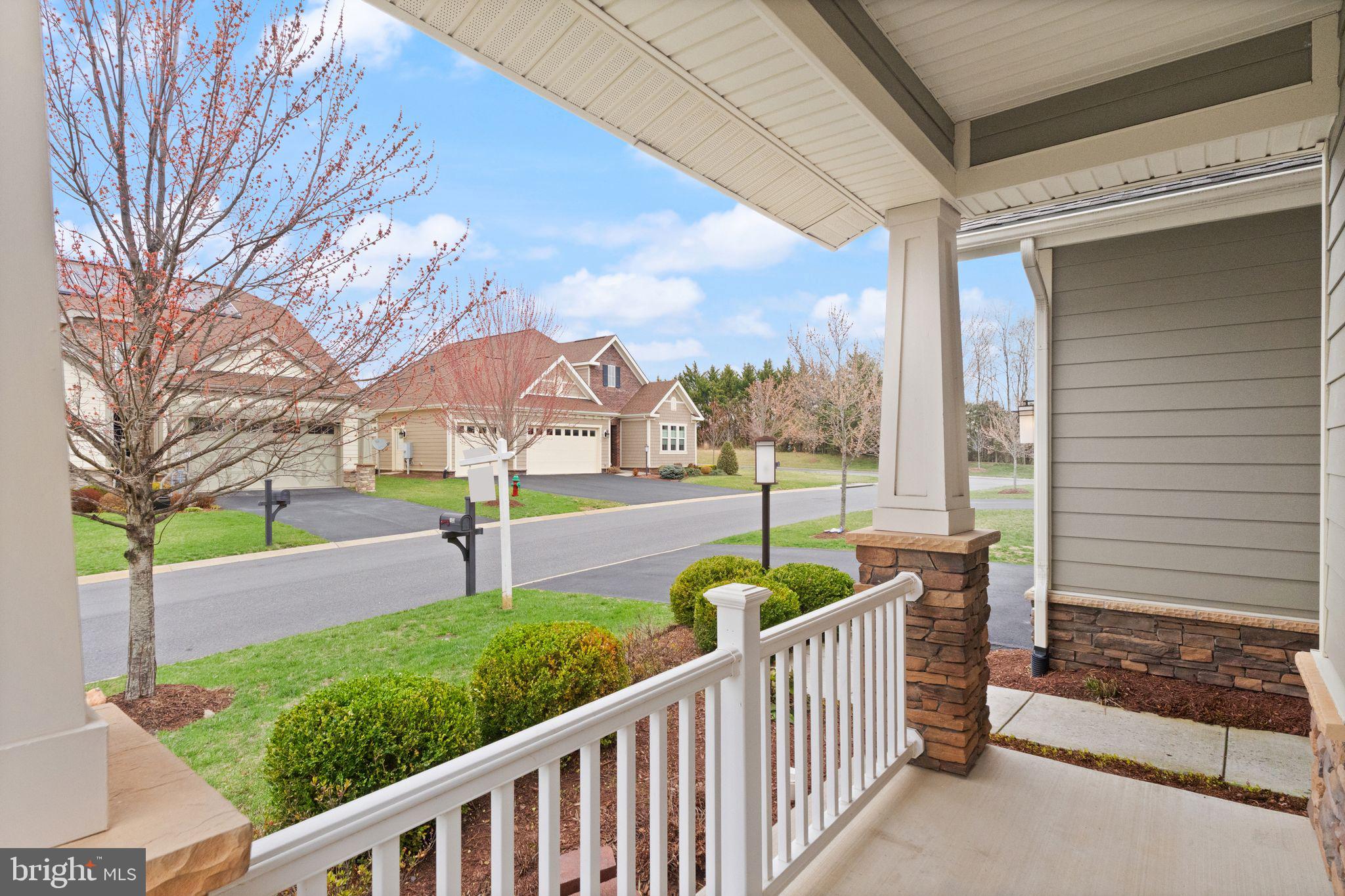 SHENANDOAH, LAKE FREDERICK - Residential