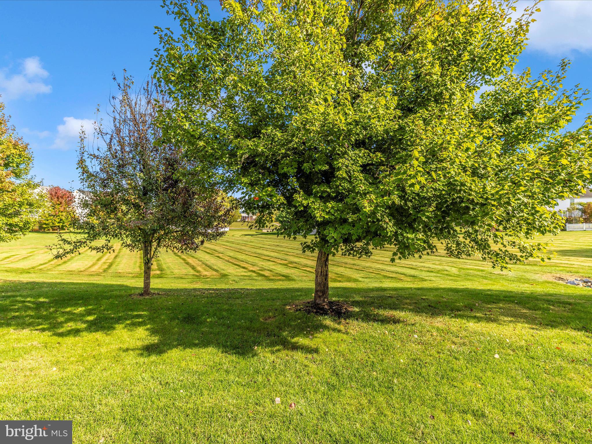 WESTFIELDS - Residential