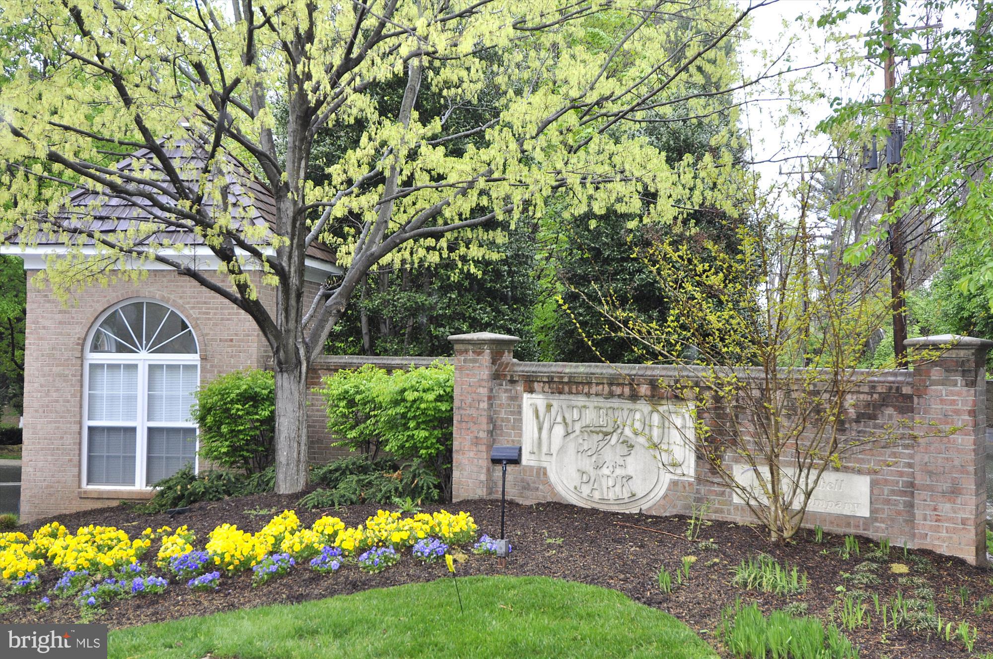 BETHESDA OVERLOOK - Residential