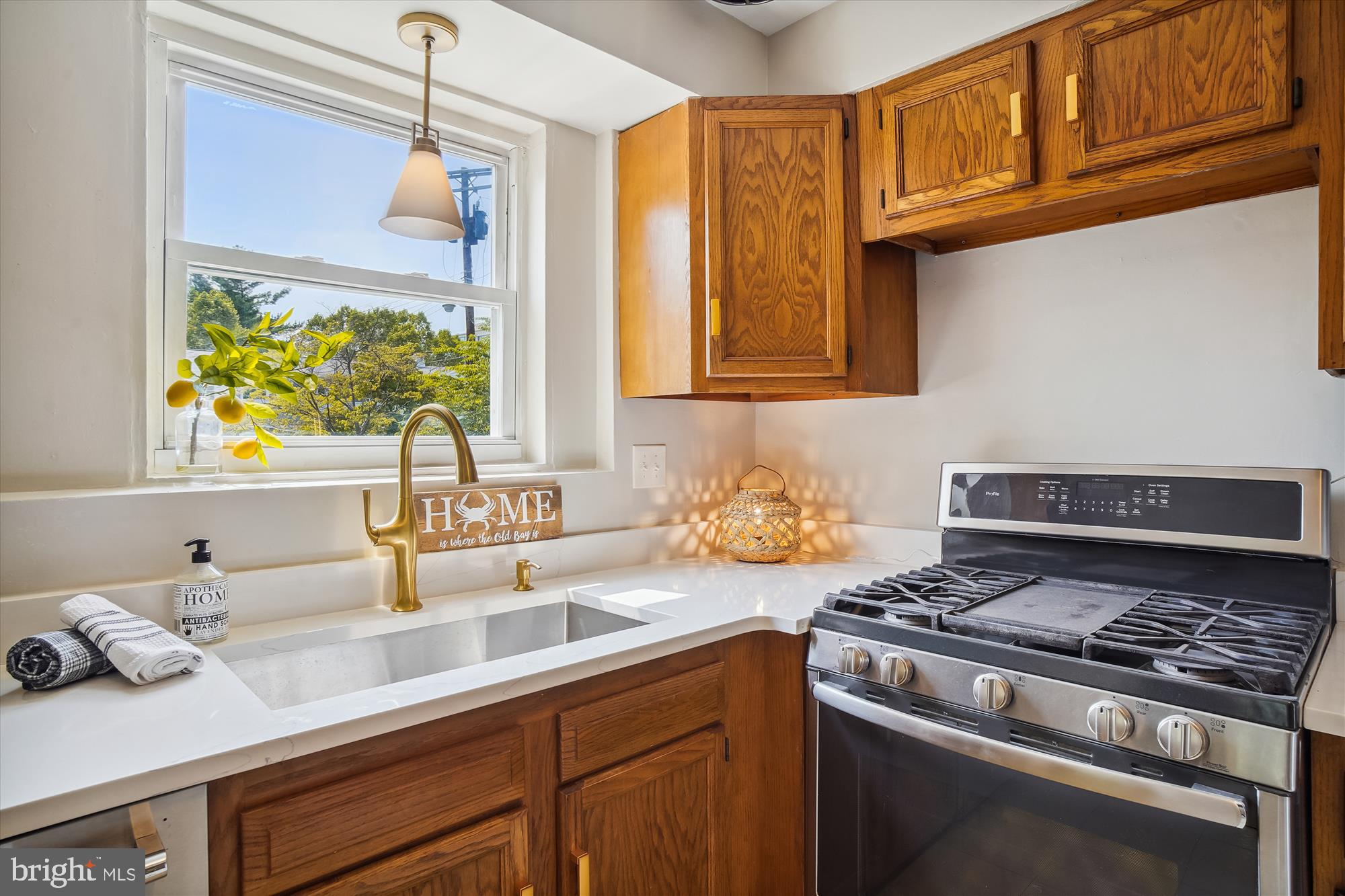 BETHESDA OVERLOOK - Residential