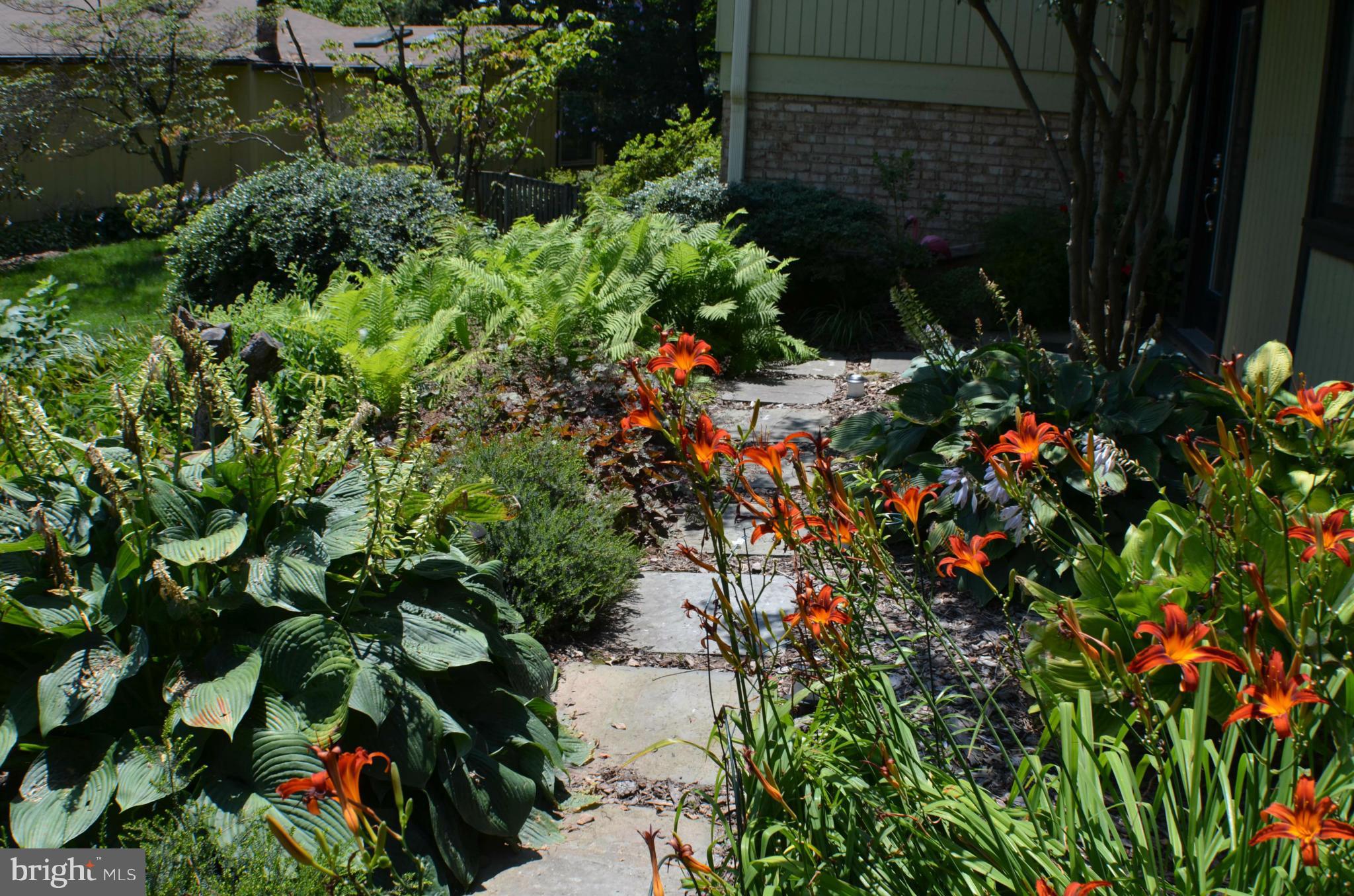 FOX MILL ESTATES - Residential