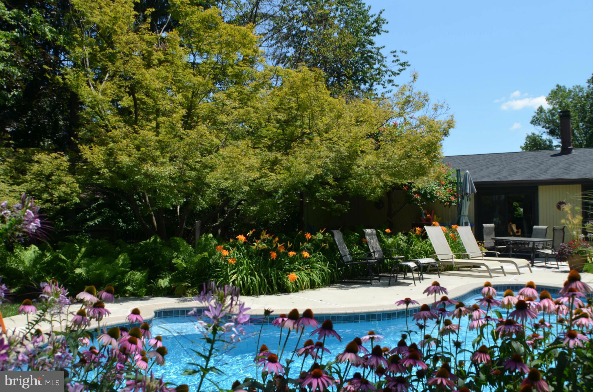 FOX MILL ESTATES - Residential