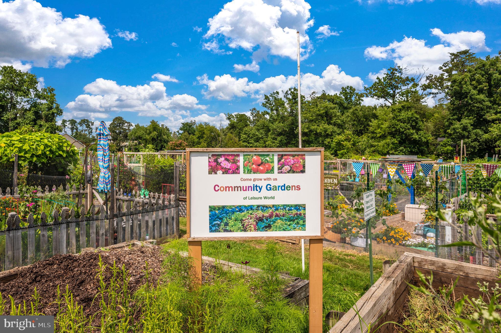 LEISURE WORLD - Residential