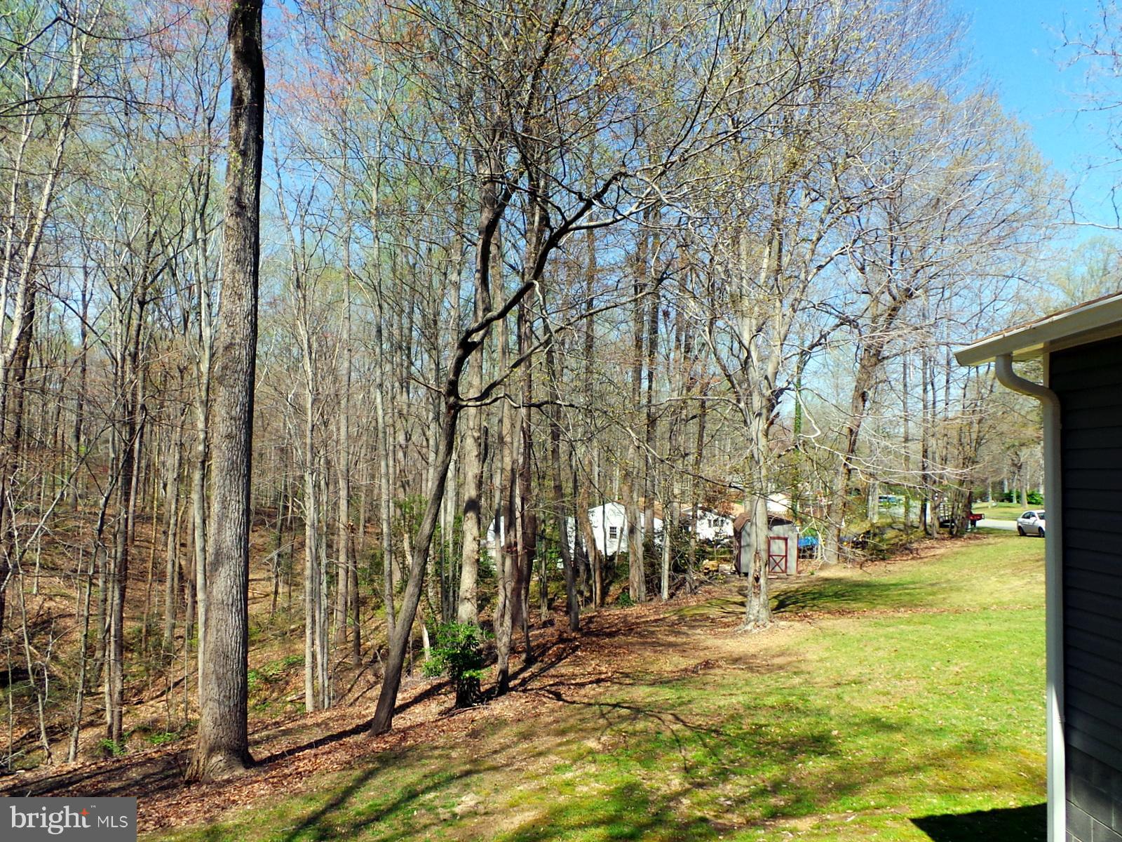 SHADY DALE - Residential Lease