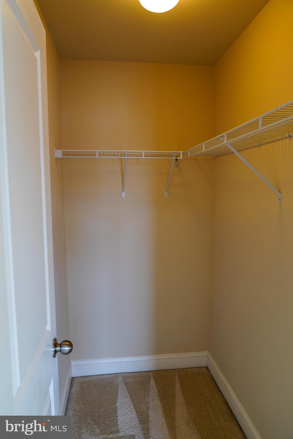 POINTE AT ARUNDEL PRESERVES - Residential