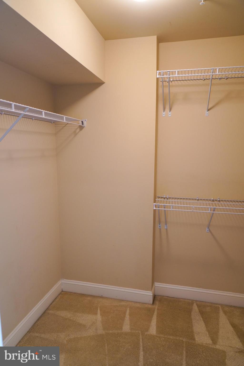 POINTE AT ARUNDEL PRESERVES - Residential