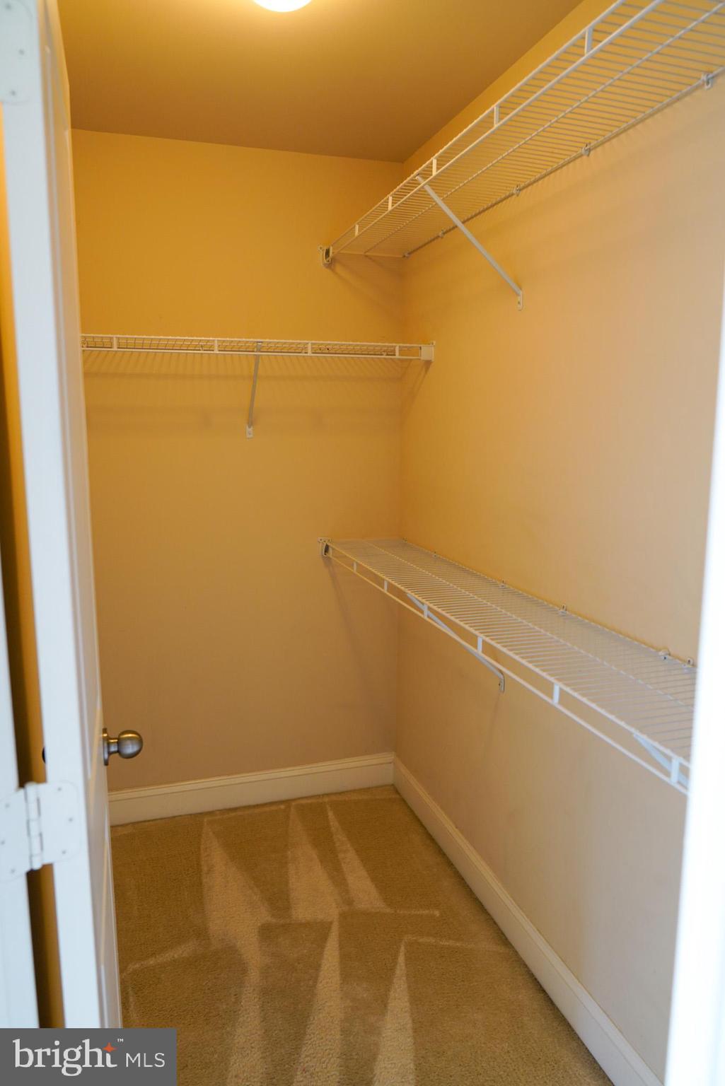 POINTE AT ARUNDEL PRESERVES - Residential