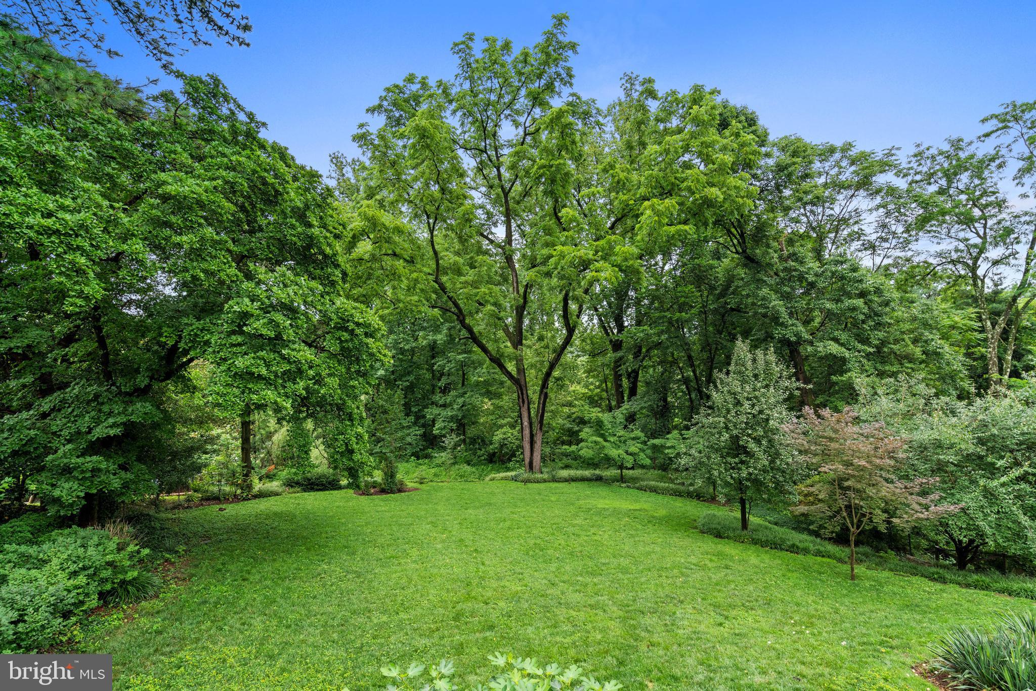 FOREST HILLS - Residential