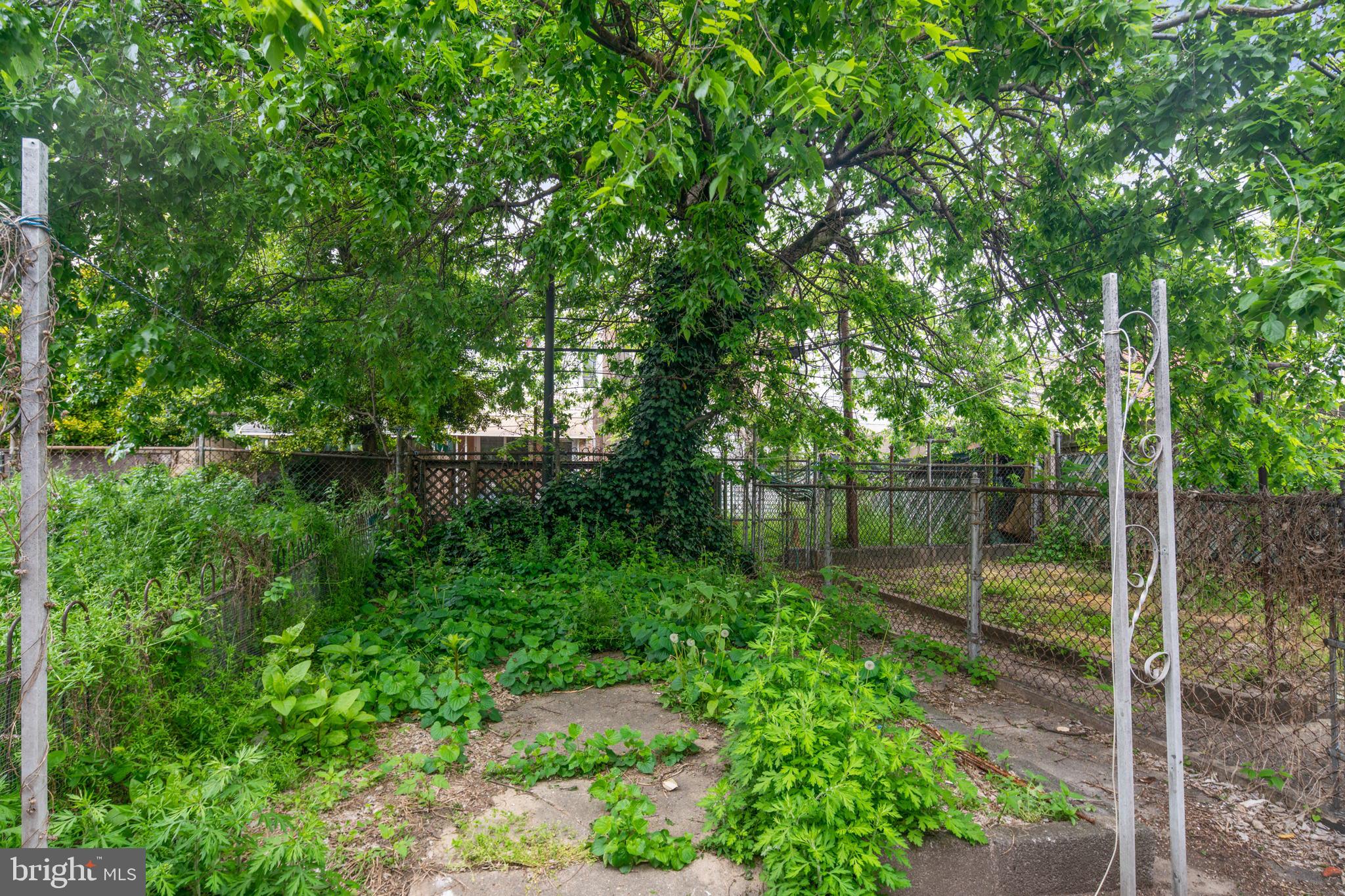 PORT RICHMOND - Residential