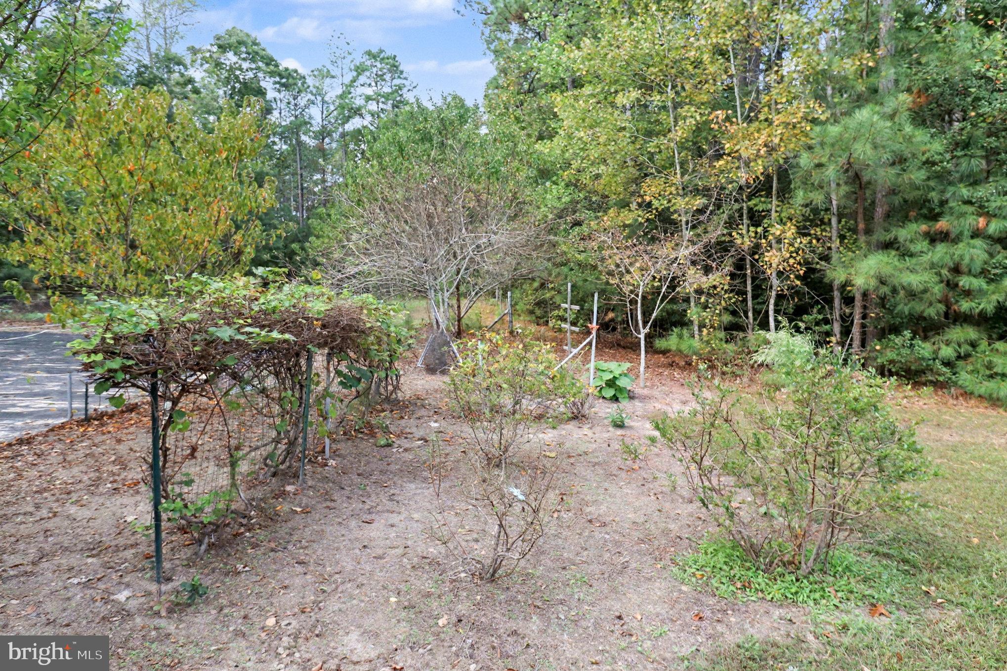 NEW MARKET EAST - Residential