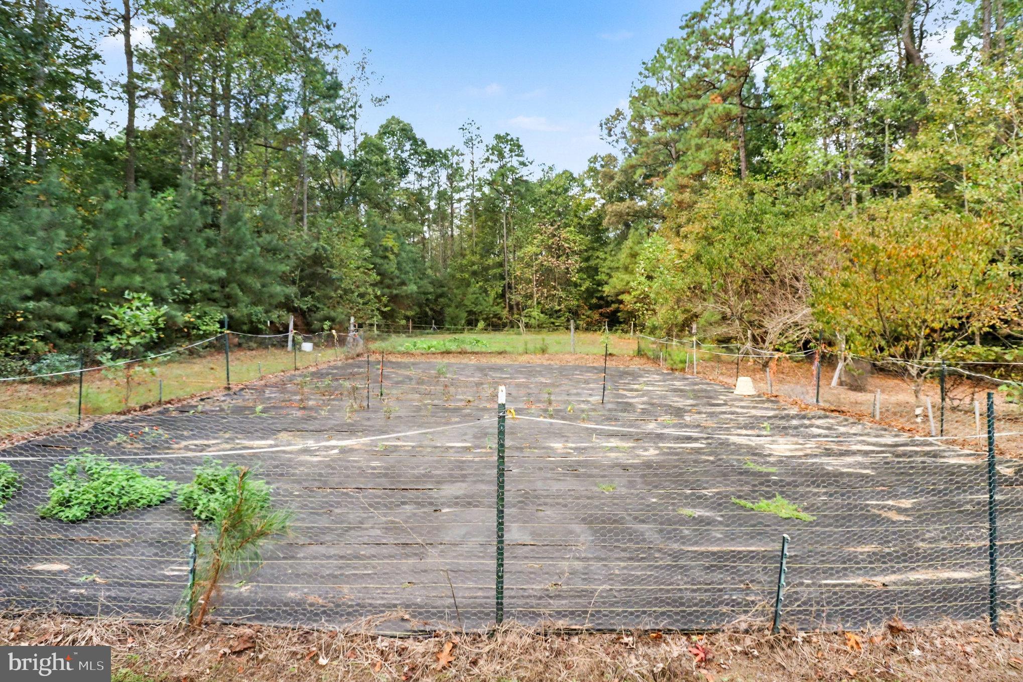 NEW MARKET EAST - Residential