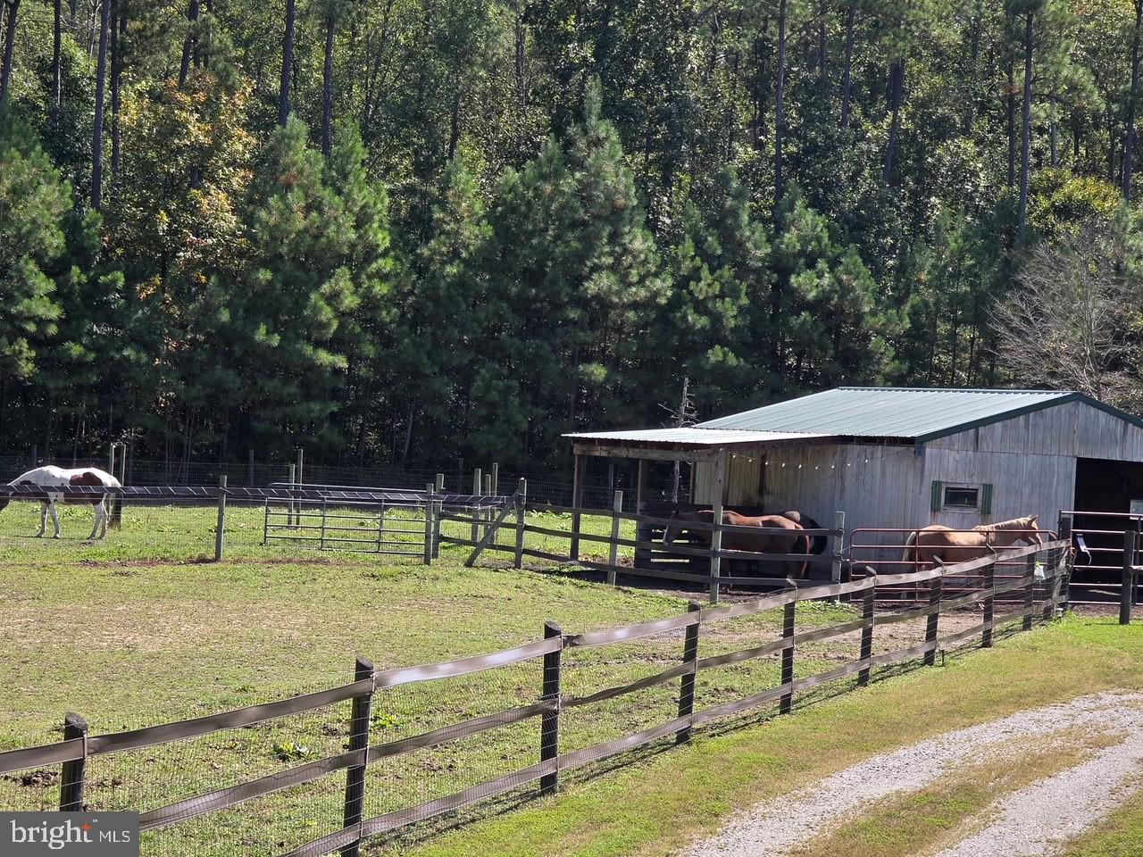 NEW MARKET EAST - Residential