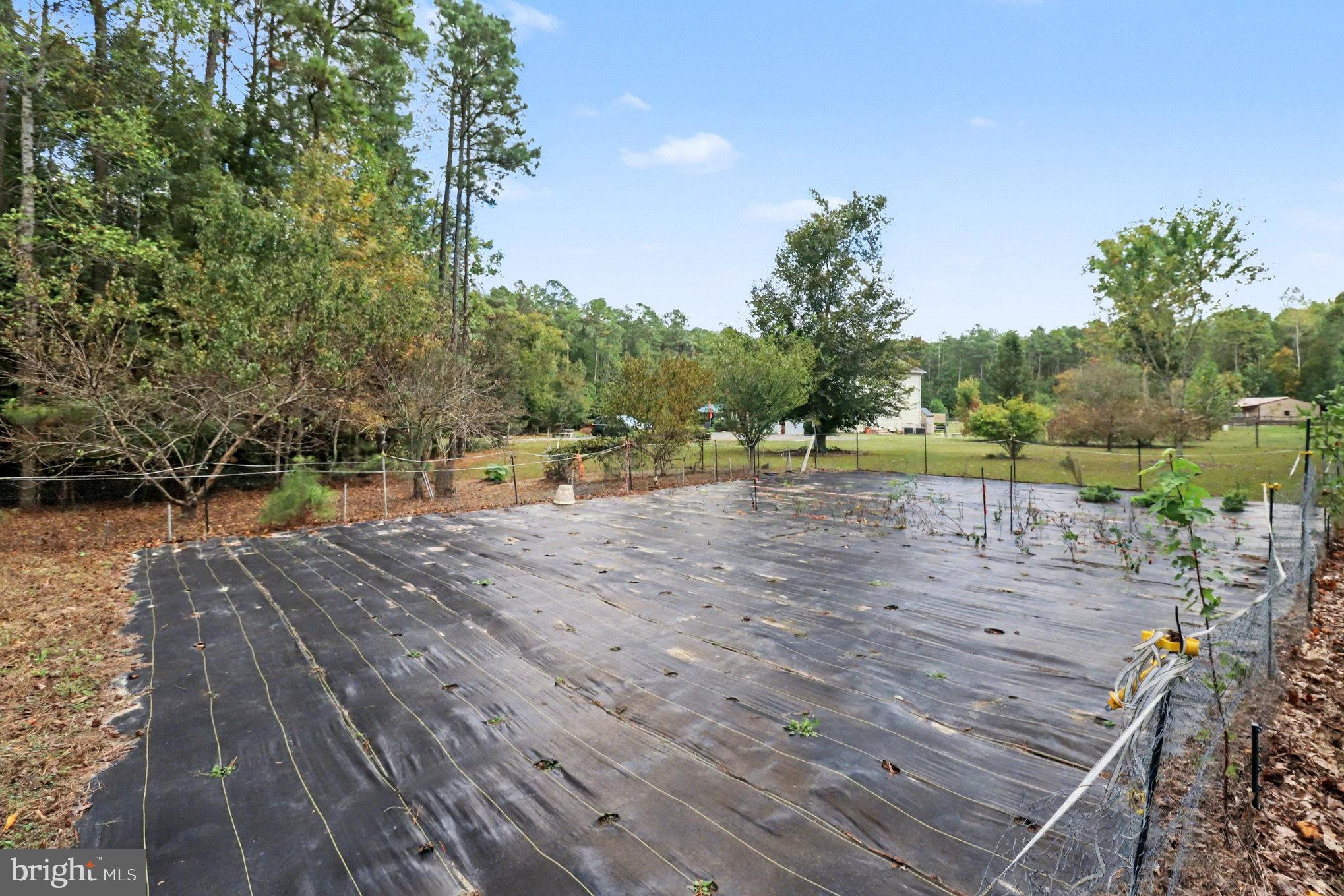 NEW MARKET EAST - Residential