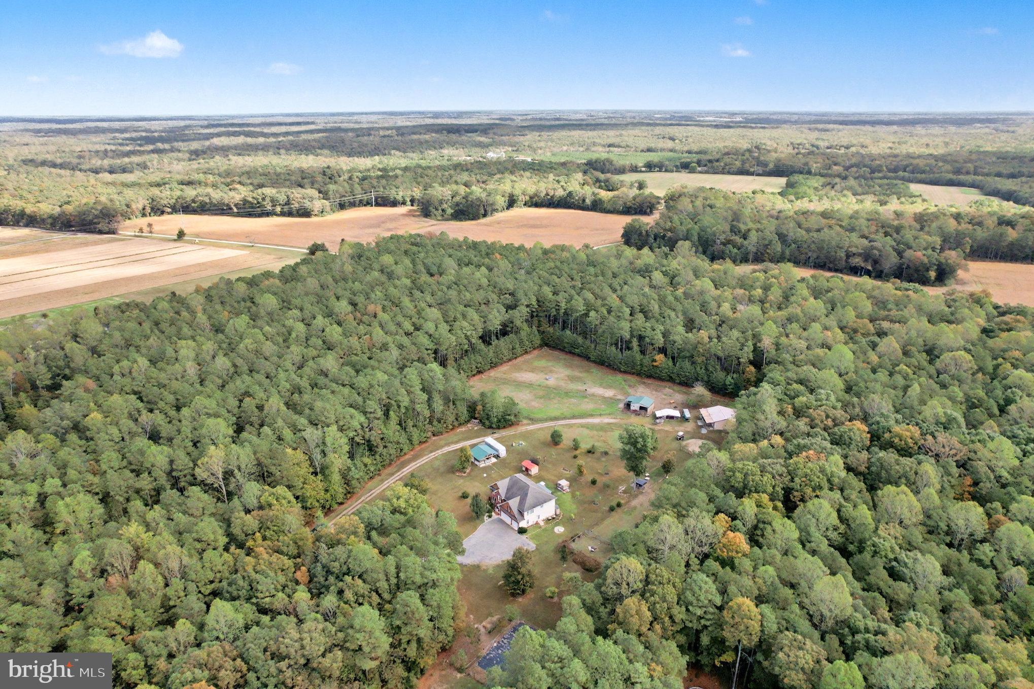 NEW MARKET EAST - Residential