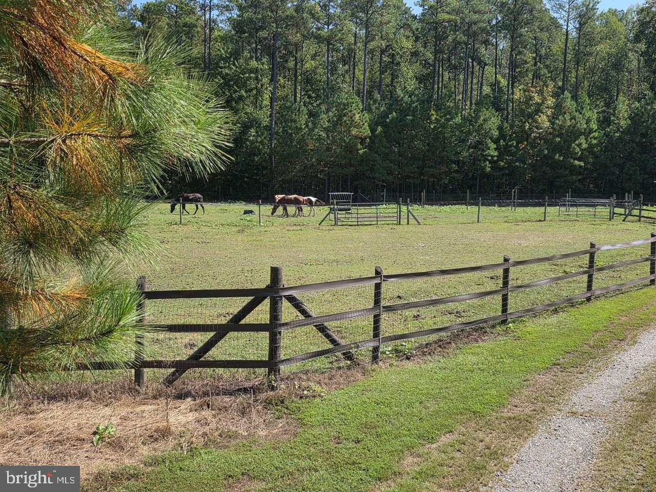 NEW MARKET EAST - Residential