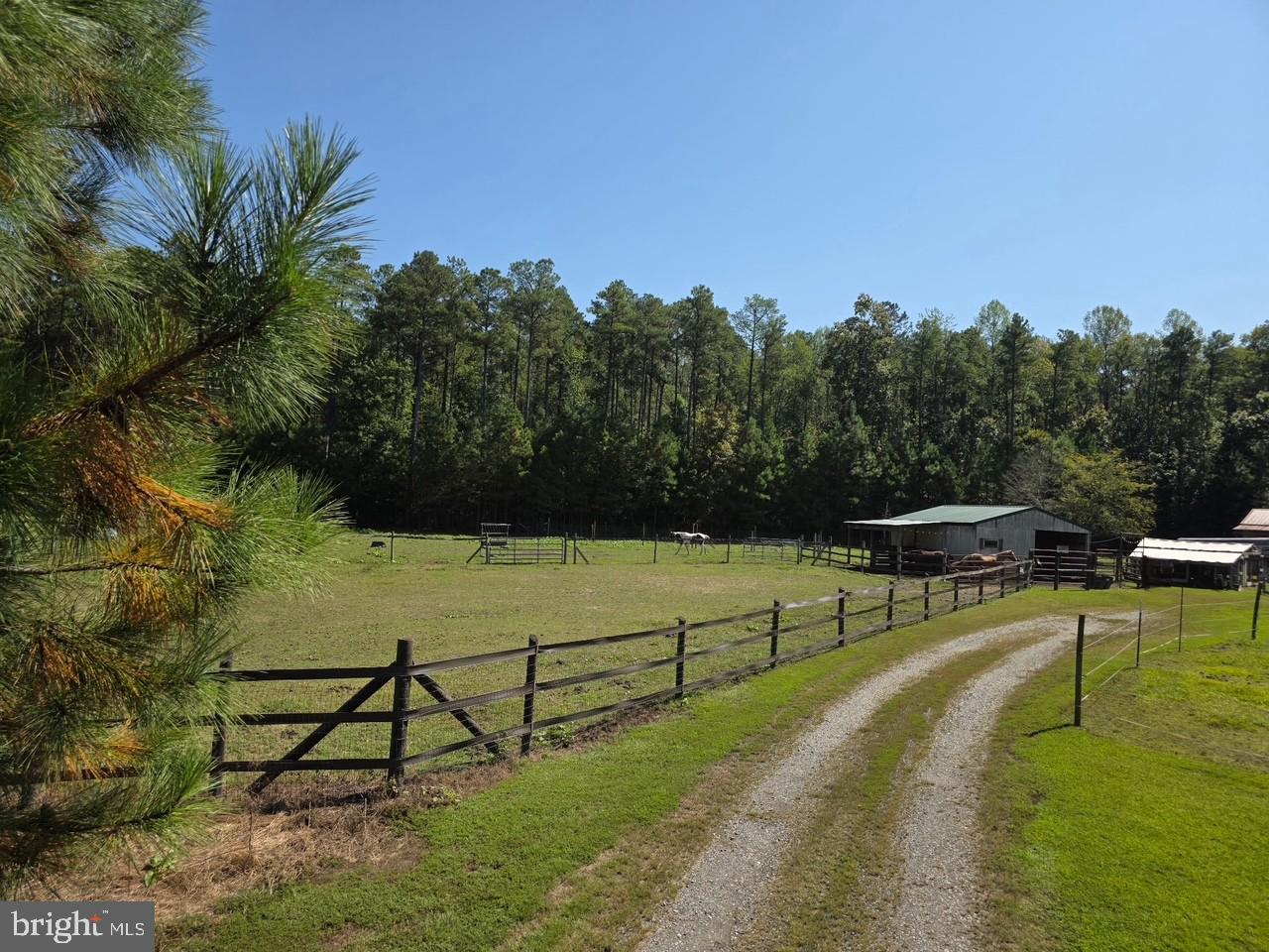 NEW MARKET EAST - Residential