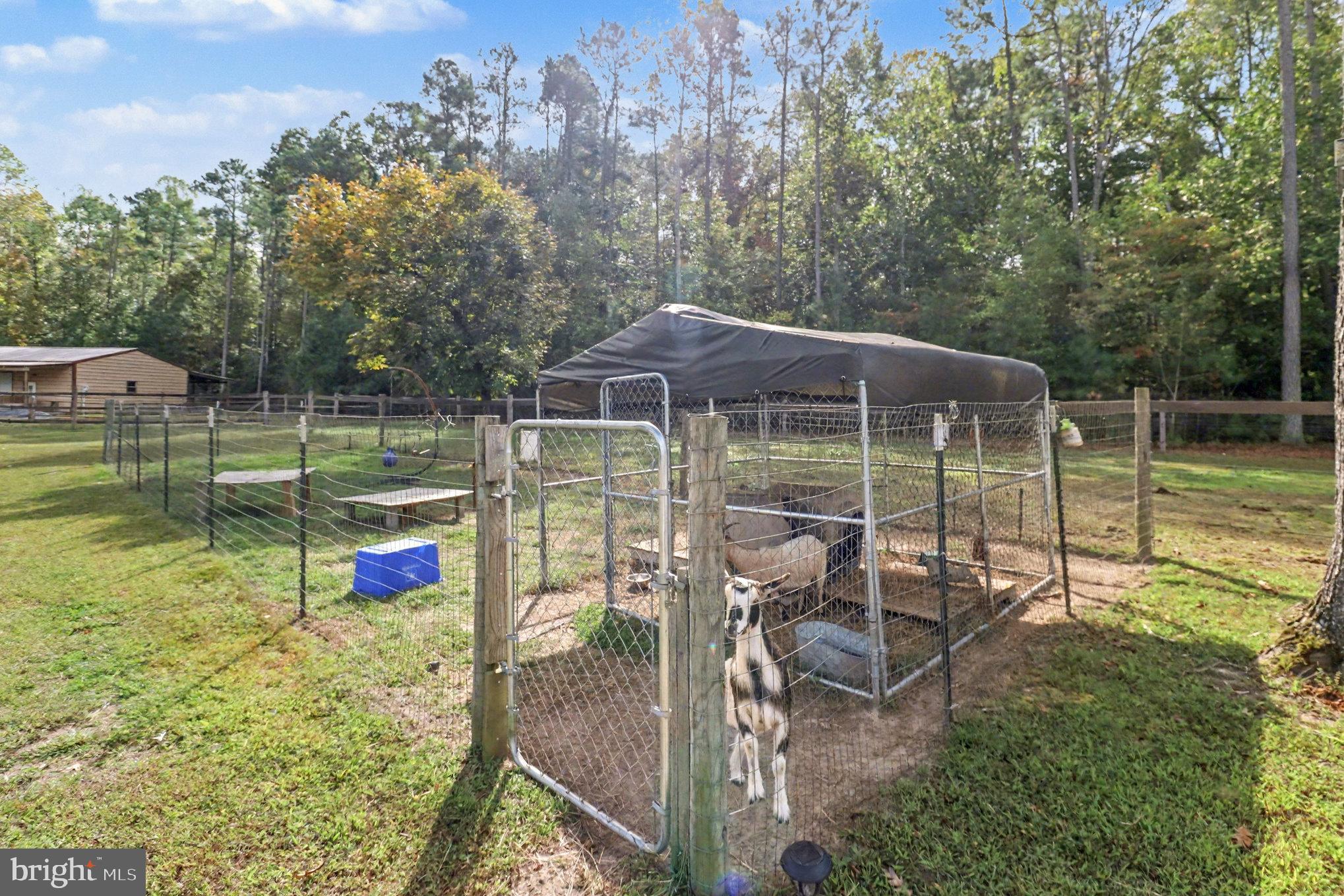 NEW MARKET EAST - Residential